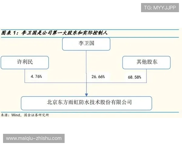 玩球容错打法品牌入口下载评测避坑防封
